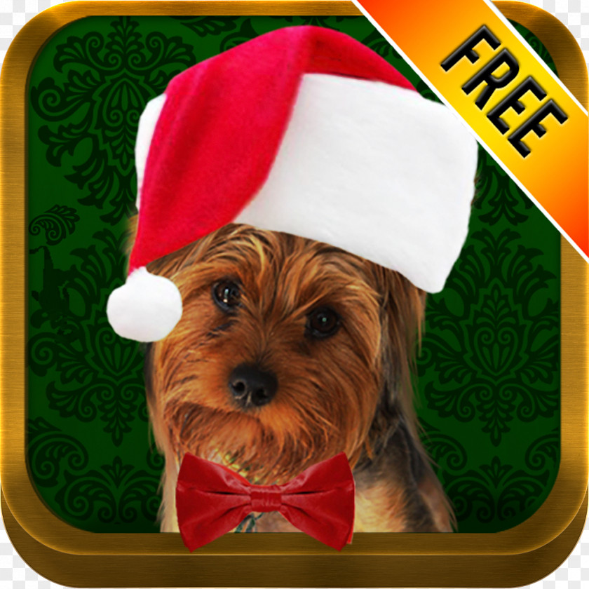 Santa Claus Photo App Holiday Dog Pet PNG