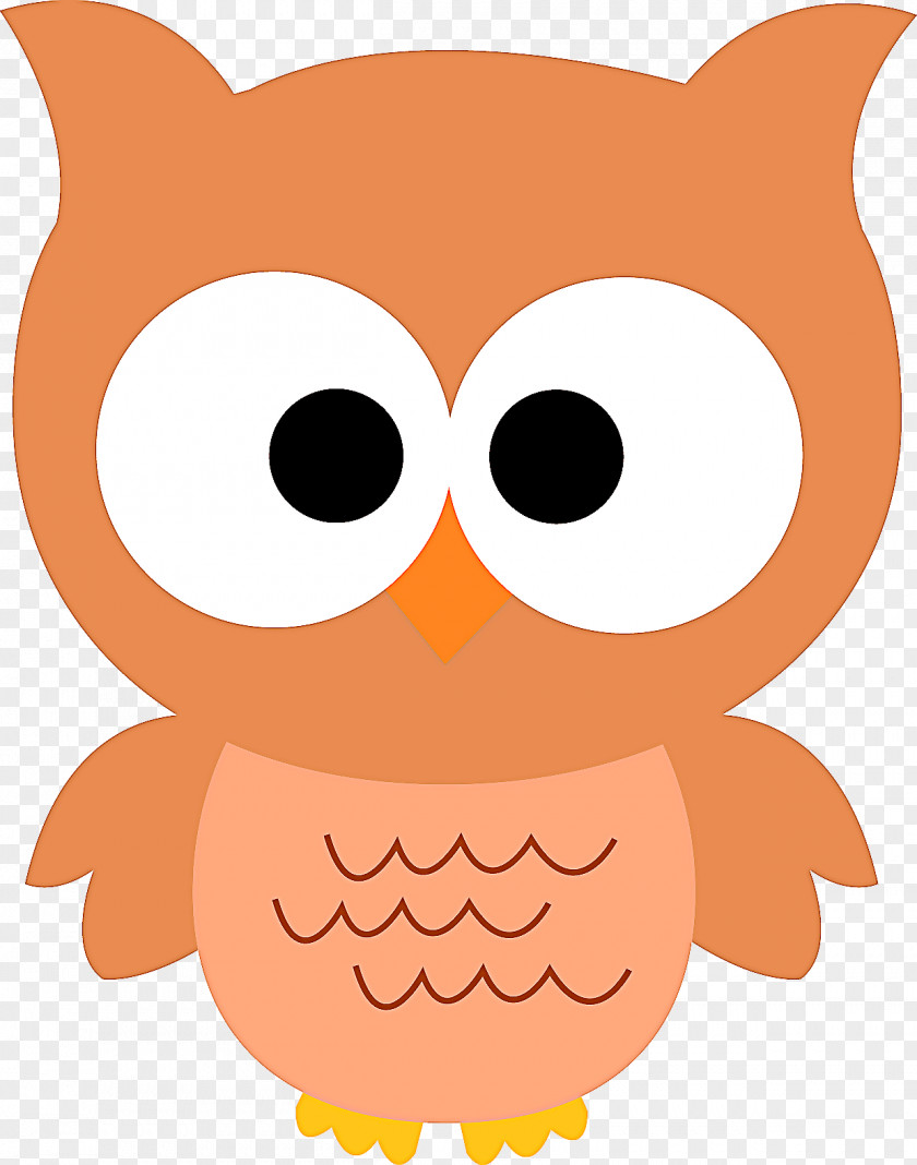 Snout Eastern Screech Owl Orange PNG
