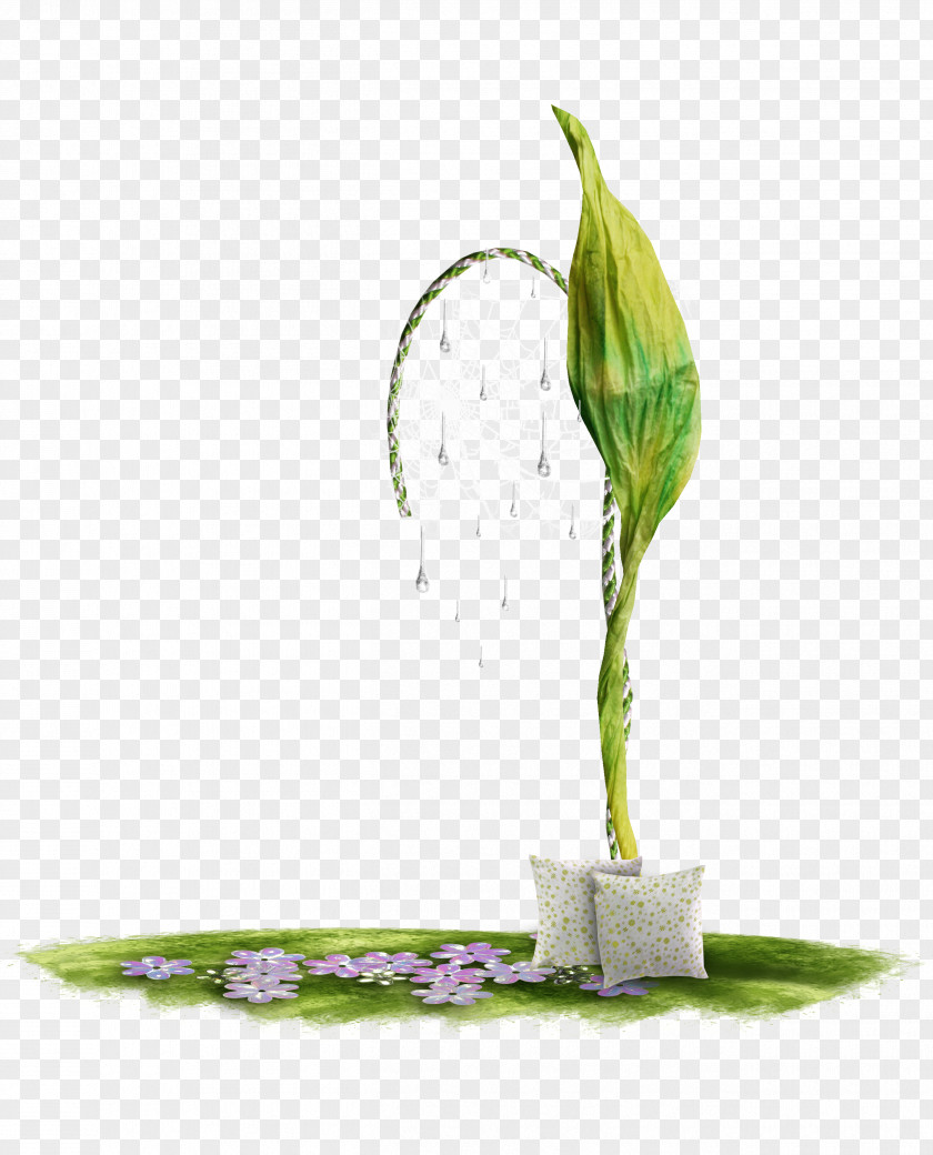 Spring Pillow Dakimakura Google Images Floral Design PNG