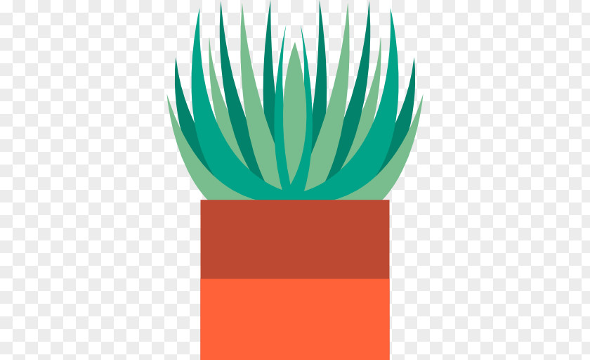 Aloe Plant Desktop Wallpaper PNG