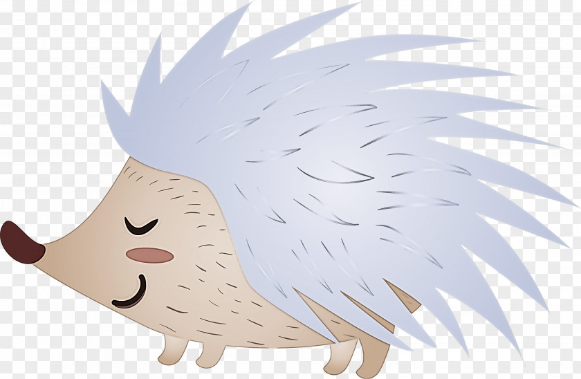 Cartoon Porcupine Hedgehog Snout Erinaceidae PNG