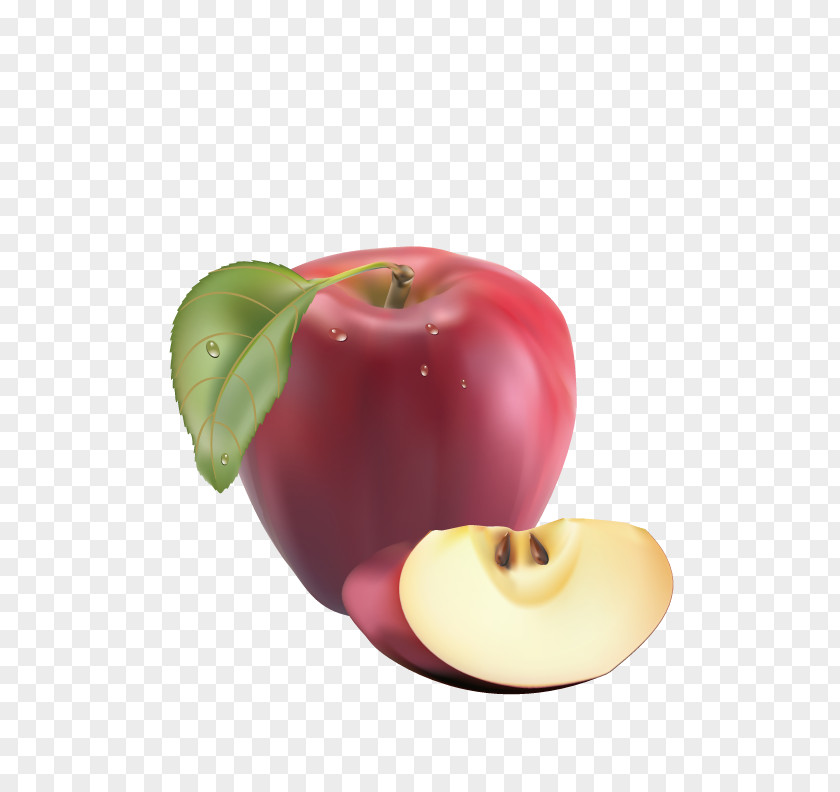 Delicious Apple Fruit Realism PNG