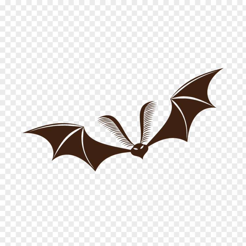 Halloween Background Bat Ghost Jack-o'-lantern Festival PNG