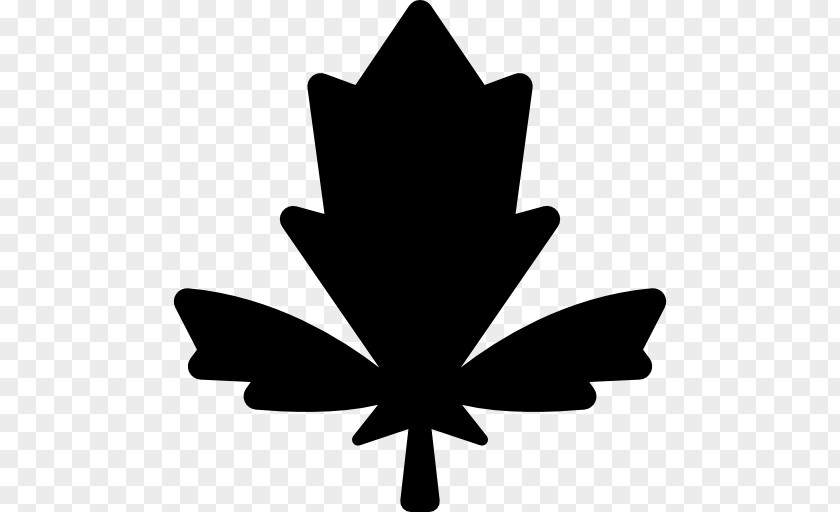 Leaf Maple Symbol PNG