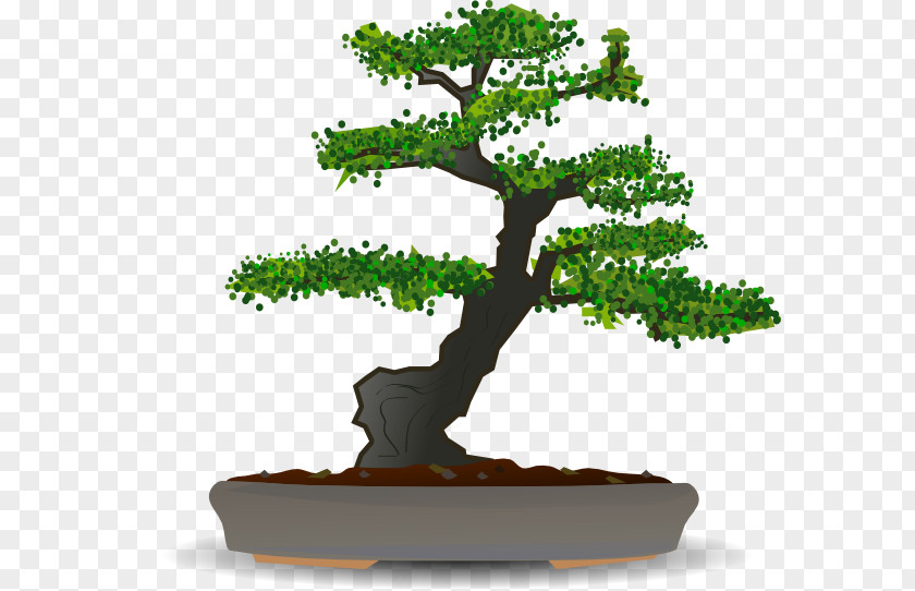 Love Tree Bonsai Clip Art PNG