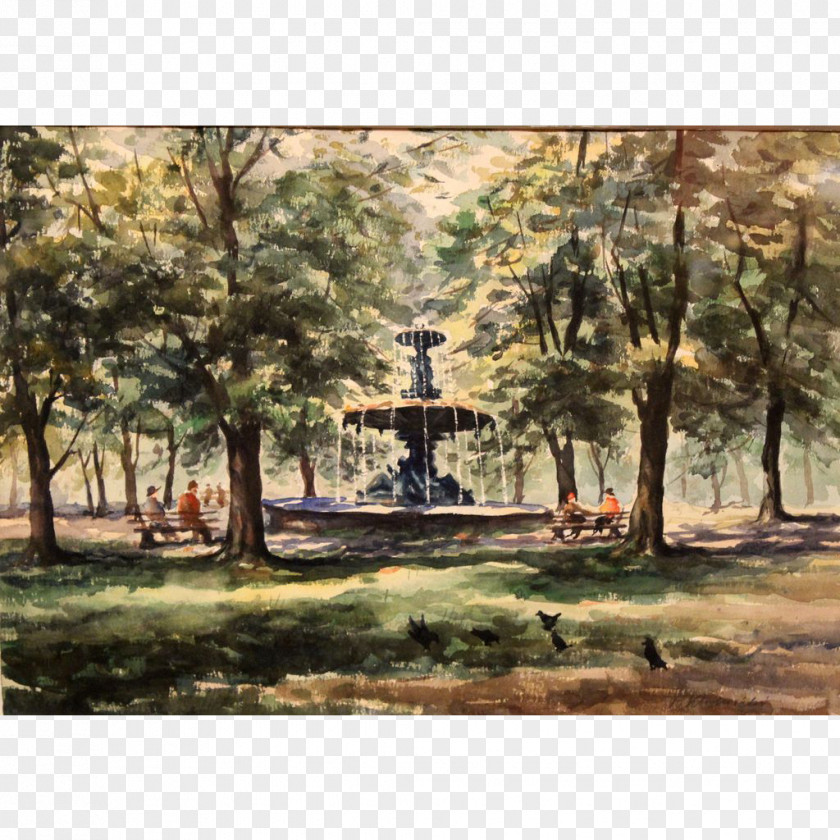 Painting Bayou Landscape Tree Land Lot PNG