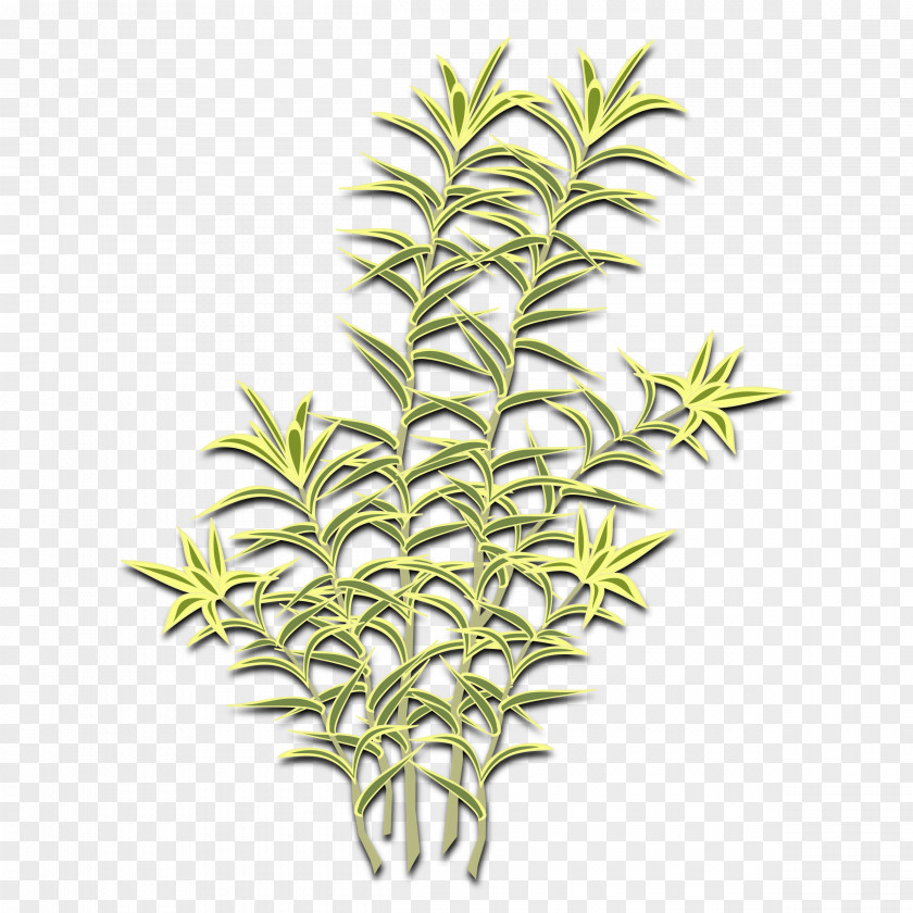 Plant Biological Hazard Symbol Clip Art PNG