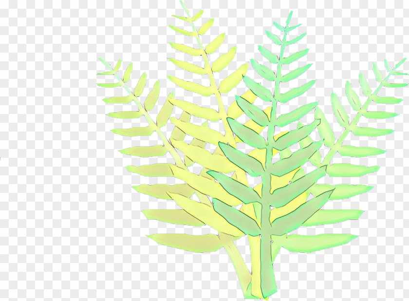 Plant Stem Grass Leaf Green Family Flower PNG