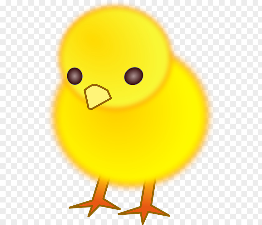 Stay Meng Chick Chicken Clip Art PNG