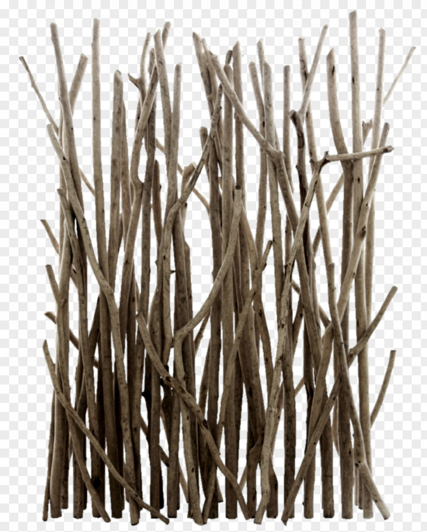 Twigs Fence Driftwood Branch Folding Screen Tree PNG