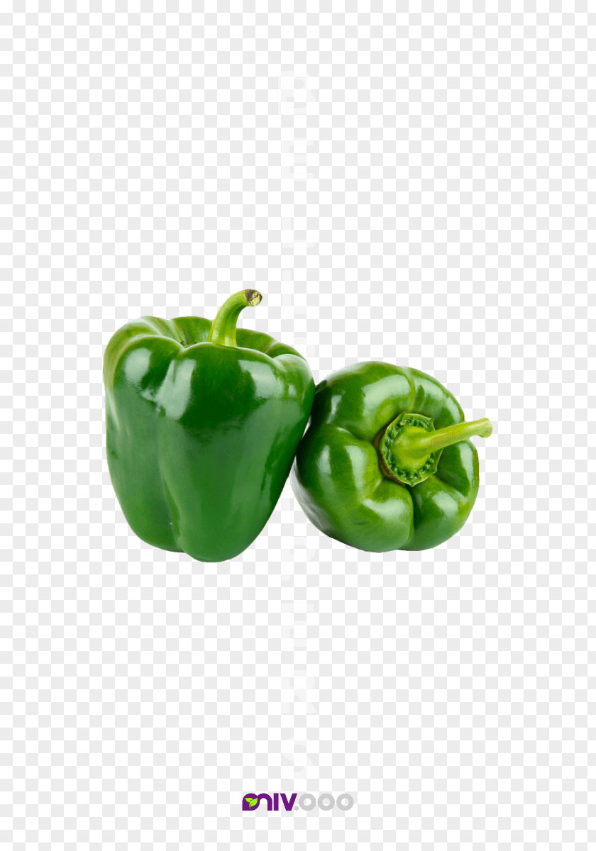 Vegetable Organic Food Grocery Store Peppers PNG