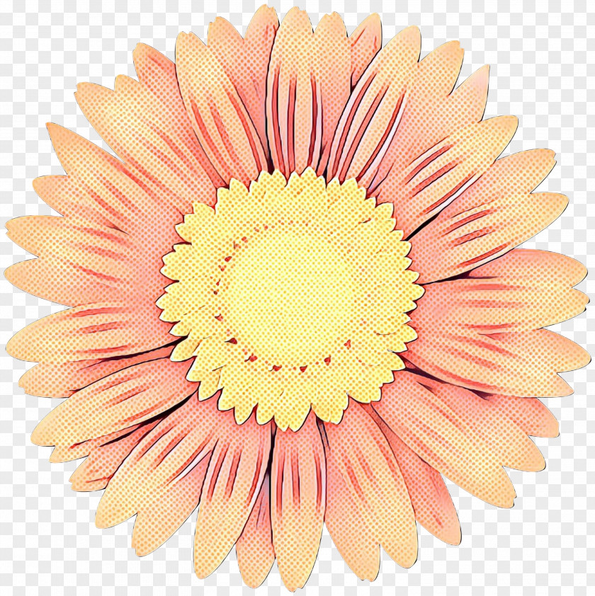 Aster Daisy Family Pop Art Retro Vintage PNG