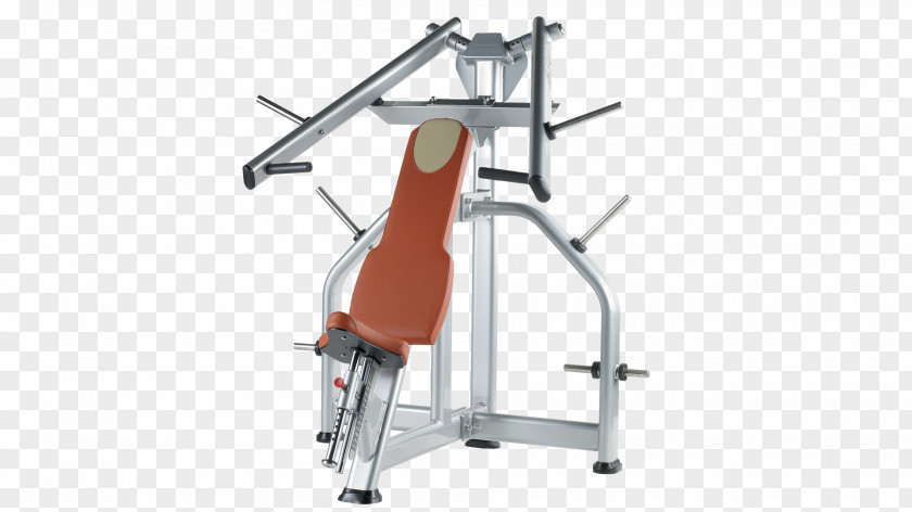 BENCHES Bench Press Overhead Fitness Centre Physical Exercise PNG