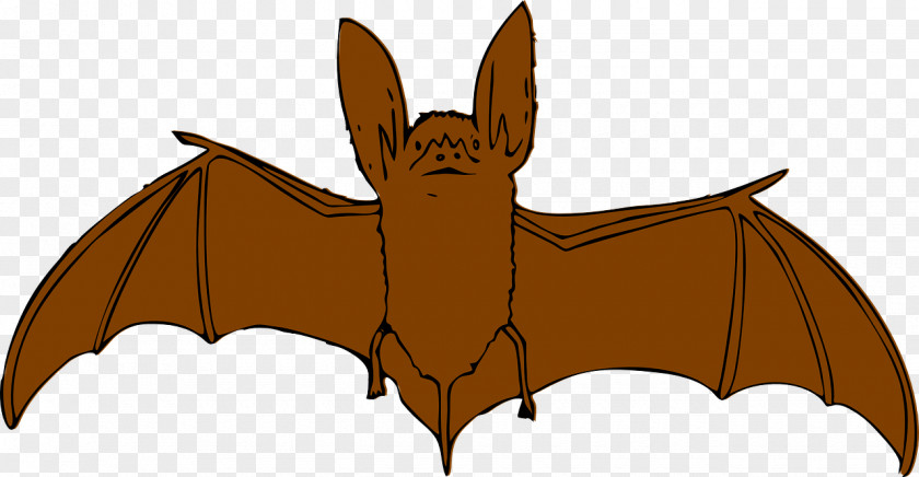 Brown Flying Squirrel Bat Free Content Clip Art PNG
