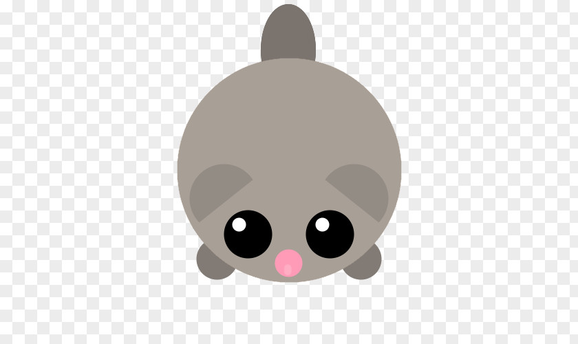 Cat Whiskers Mouse Clip Art PNG