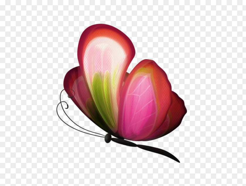 Computer Desktop Wallpaper Pink M Flowering Plant PNG