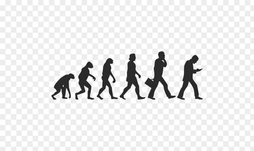 Evolution Of Man Human Darwinism Fitness Life PNG
