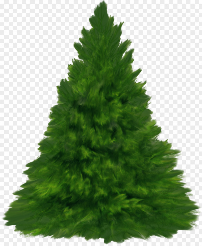 Fir Tree New Year Christmas Day Yandex Russia PNG
