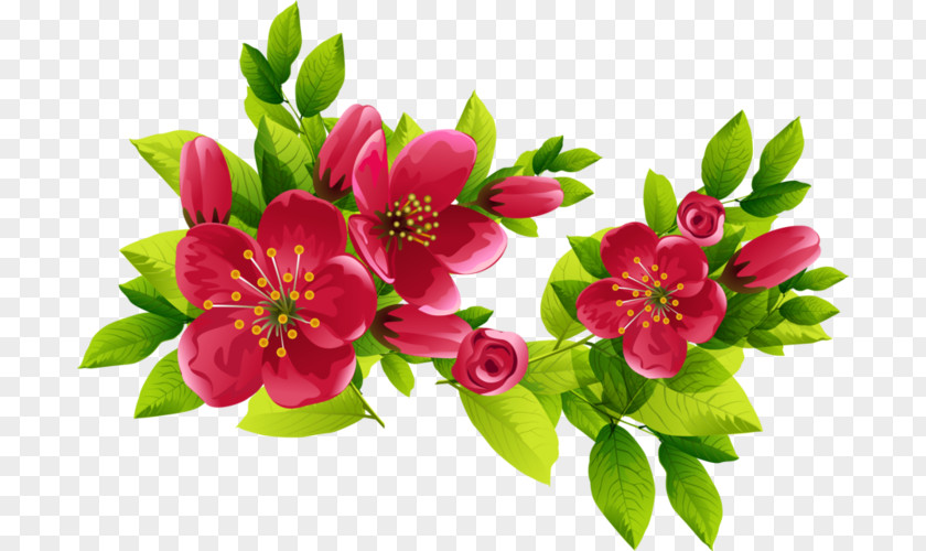 Flower Borders And Frames Decorative Clip Art Paper PNG