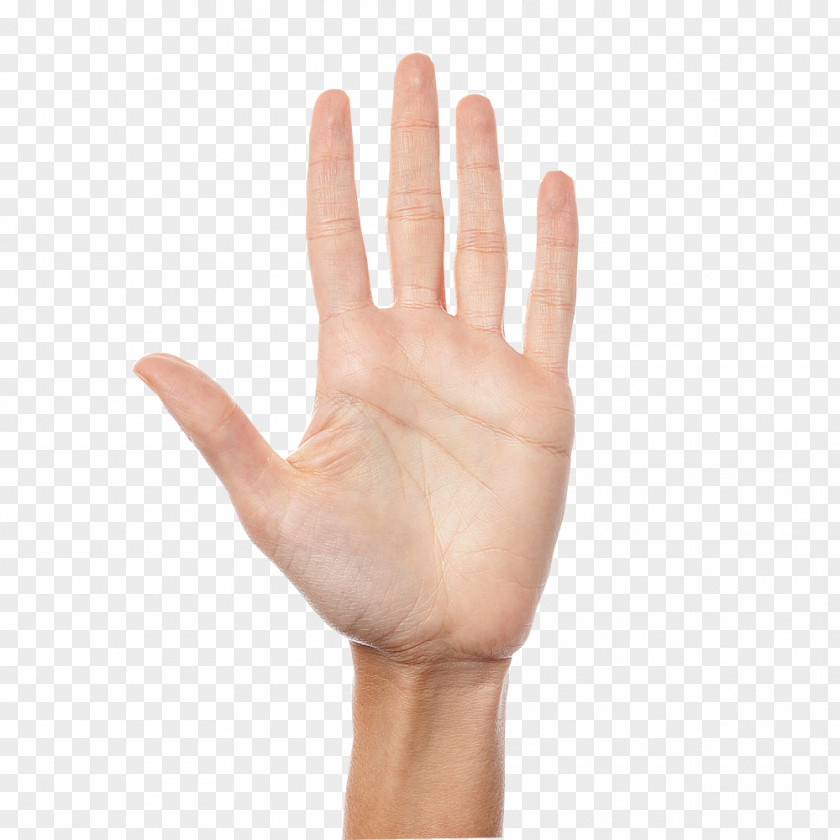 HANDS RAISED Stock Photography Hand Finger Woman PNG