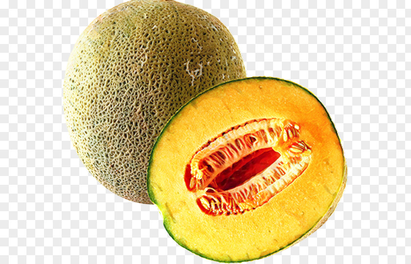 Kiwifruit Plant Watermelon Cartoon PNG