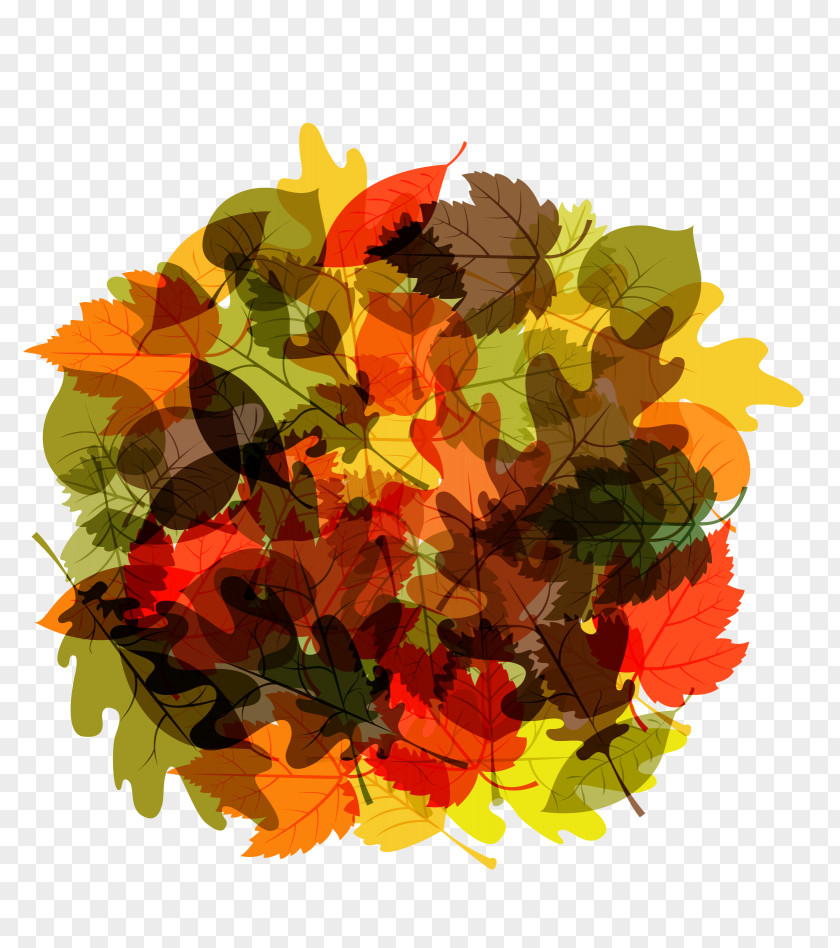 Round Autumn Leaves Leaf Euclidean Vector PNG