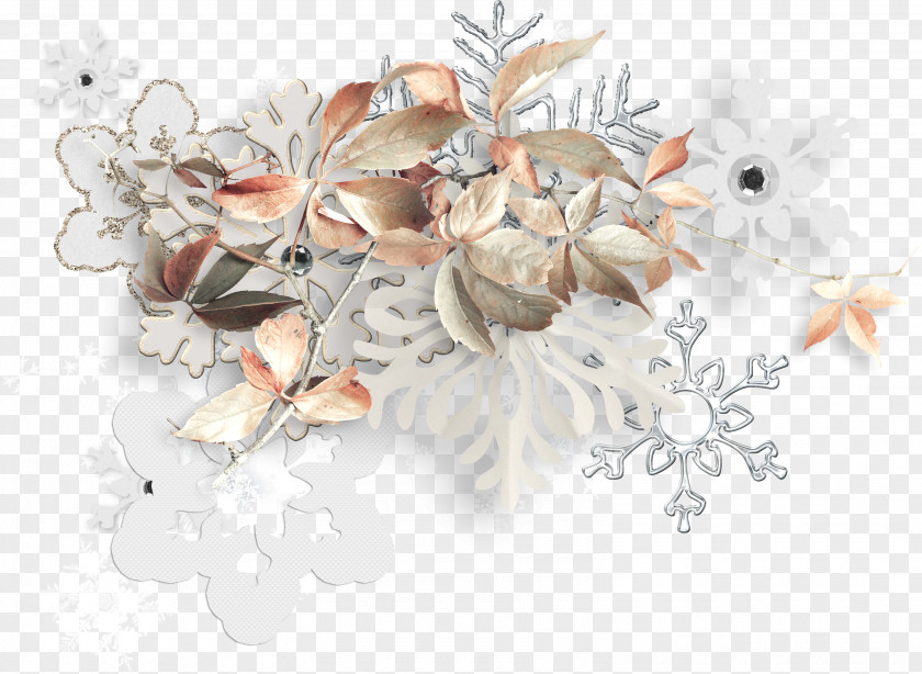 Cluster Winter Image Lolcat Jewellery Heart PNG