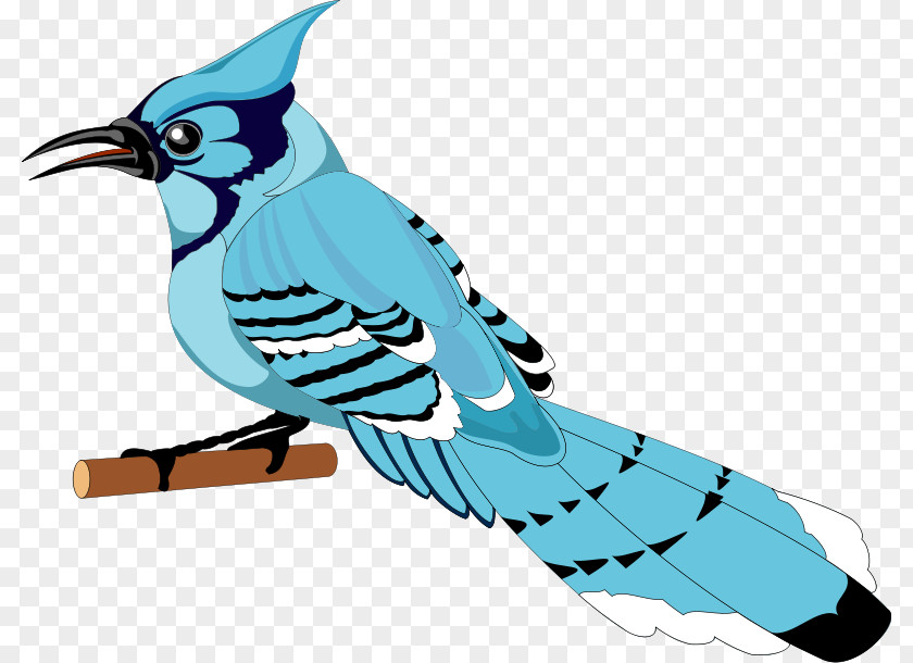 Free Bird Vector Toronto Blue Jays Clip Art PNG