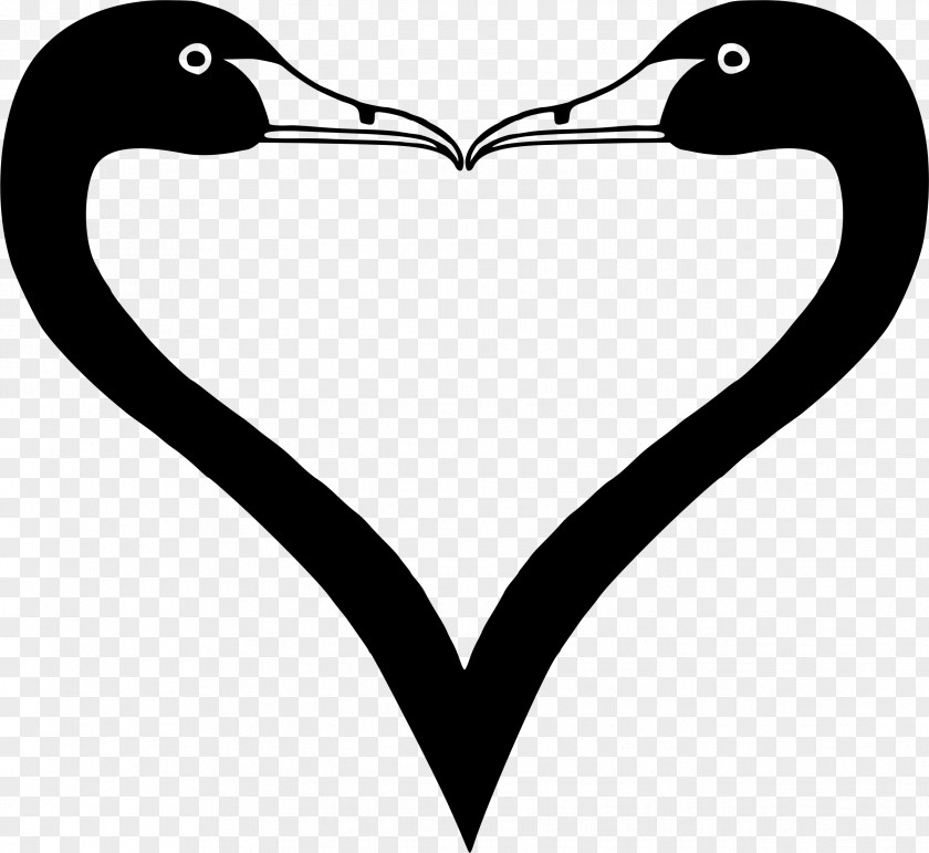 Romantic Swan Duck Bird Cygnini Goose Clip Art PNG