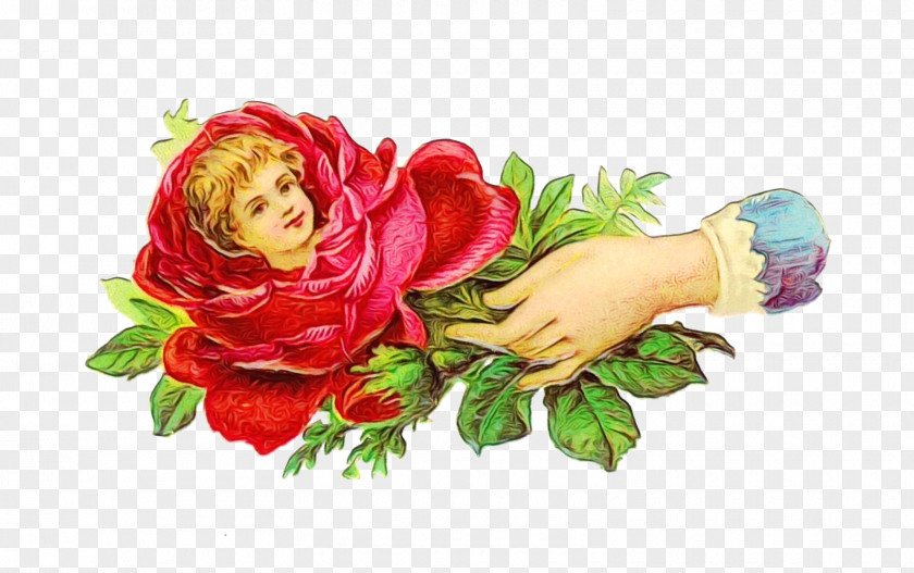 Rose Order Petal Garden Roses PNG