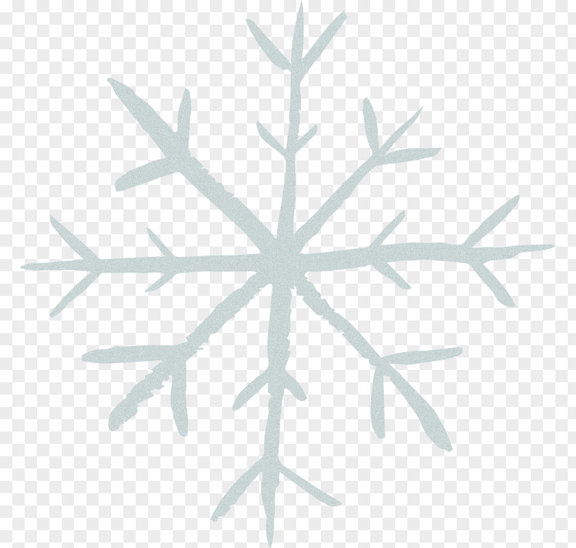 Snowflake Vector Graphics Royalty-free Illustration PNG