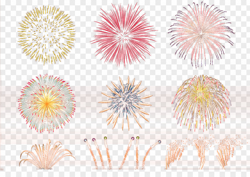 Color Slug Fireworks PNG