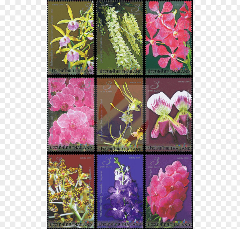 Design Floral Pink M RTV Flowering Plant PNG