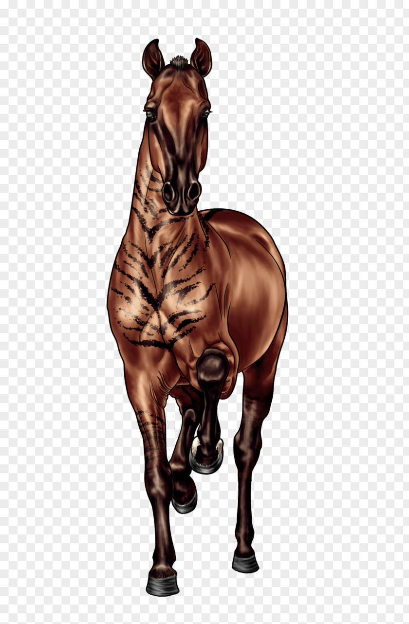 Horse DeviantArt Artist Pony PNG