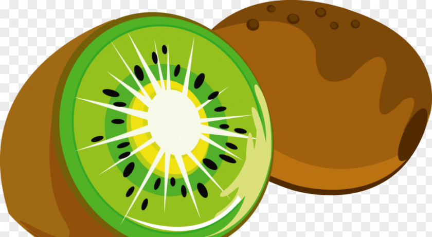 Kiwi Byrd Kiwifruit Auglis Clip Art PNG