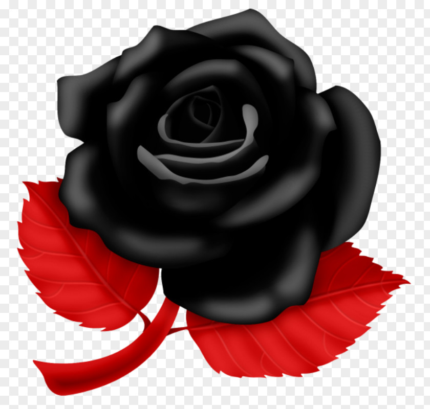 Rose Vector Graphics Clip Art Garden Roses Image PNG
