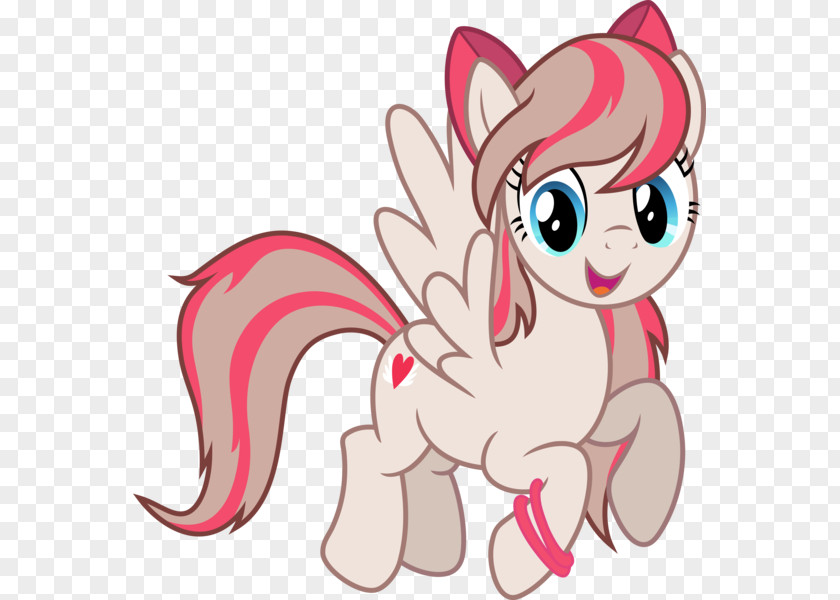 Cat Pony Fluttershy Rainbow Dash Derpy Hooves PNG