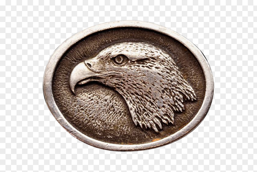 Eagle Silver Fauna Beak PNG