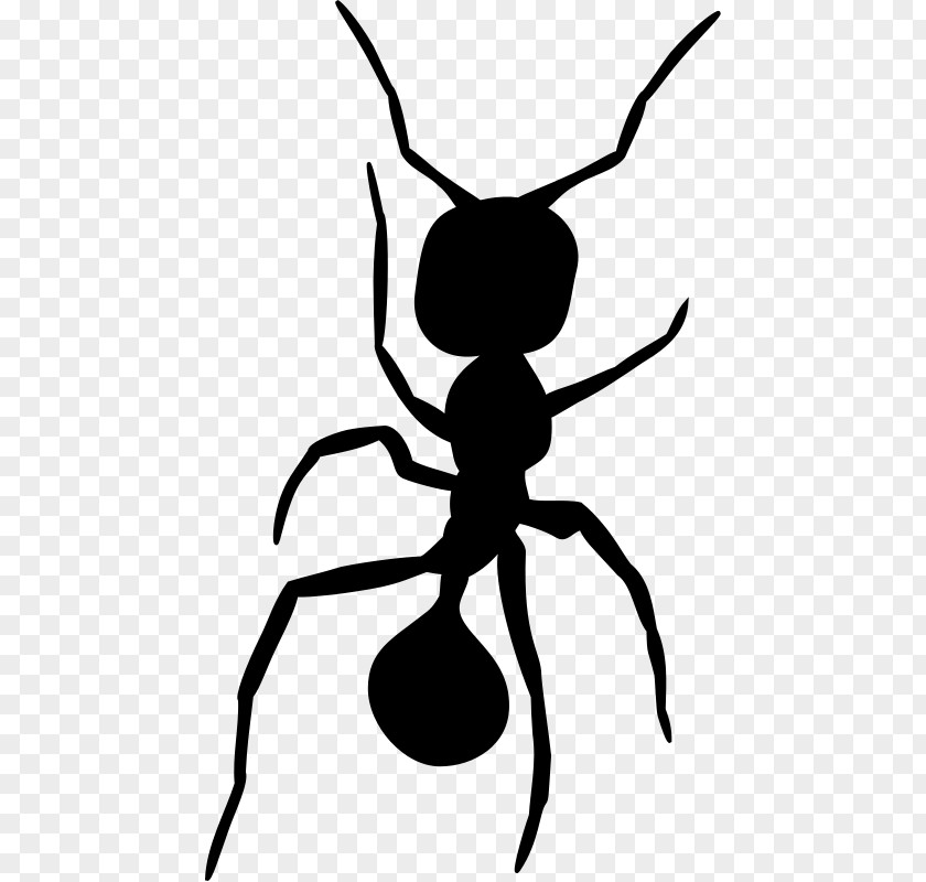 Insect Ant Silhouette Clip Art PNG