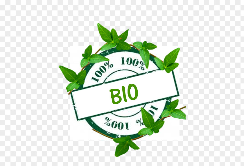 Leaf Herbalism Logo Clip Art PNG