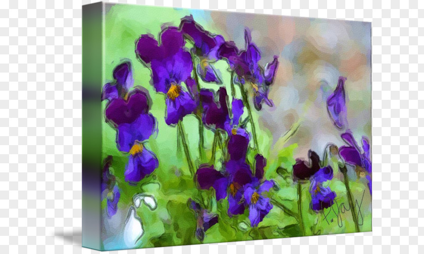 Violet Lavender Petal Annual Plant PNG