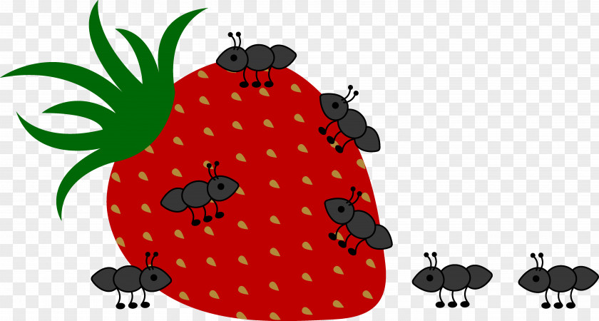 Free Picnic Clipart Ant Insect Content Clip Art PNG