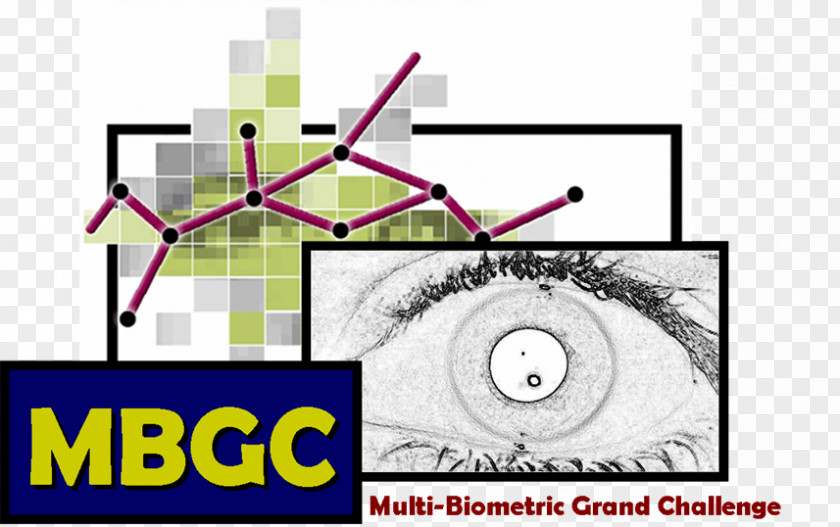 Iris Recognition Biometrics Facial System Multiple Biometric Grand Challenge Wikipedia PNG