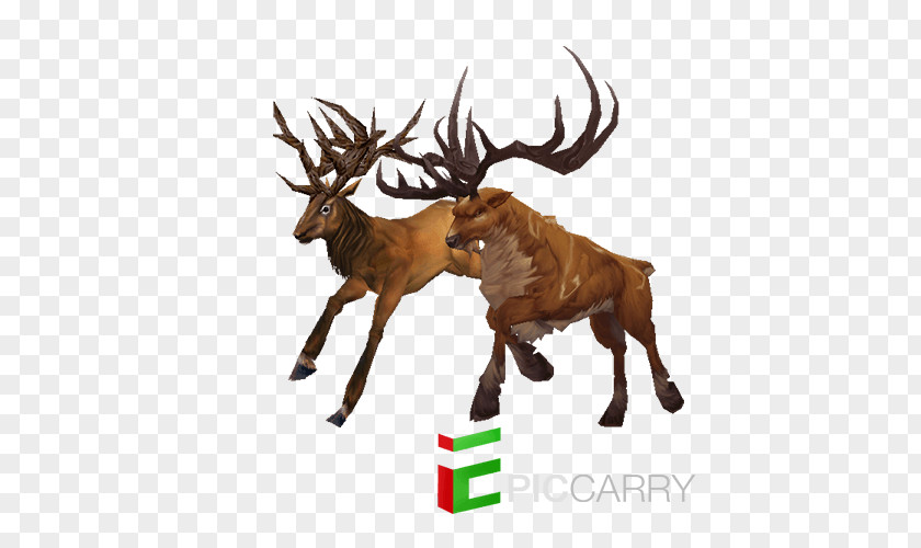 Reindeer Warlords Of Draenor Red Deer Elk PNG