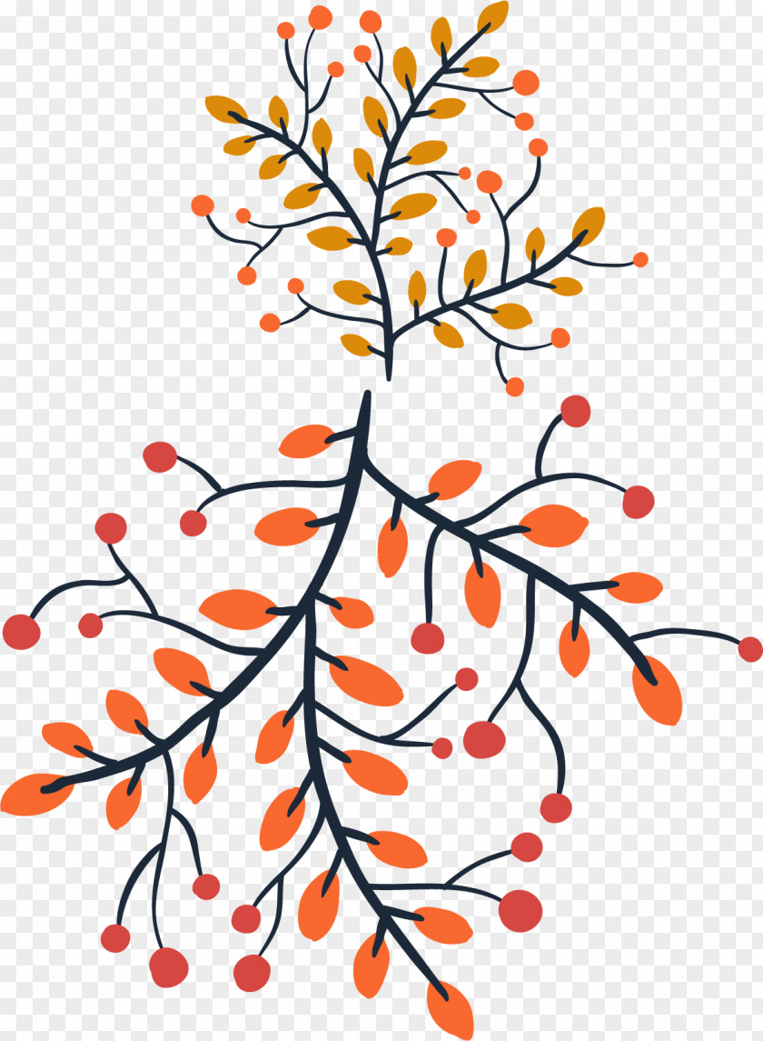 Bough Ornament Twig Branch Drawing Tree PNG