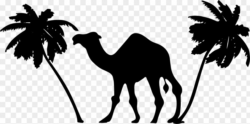 Camel Abu Dhabi Logo Clip Art PNG