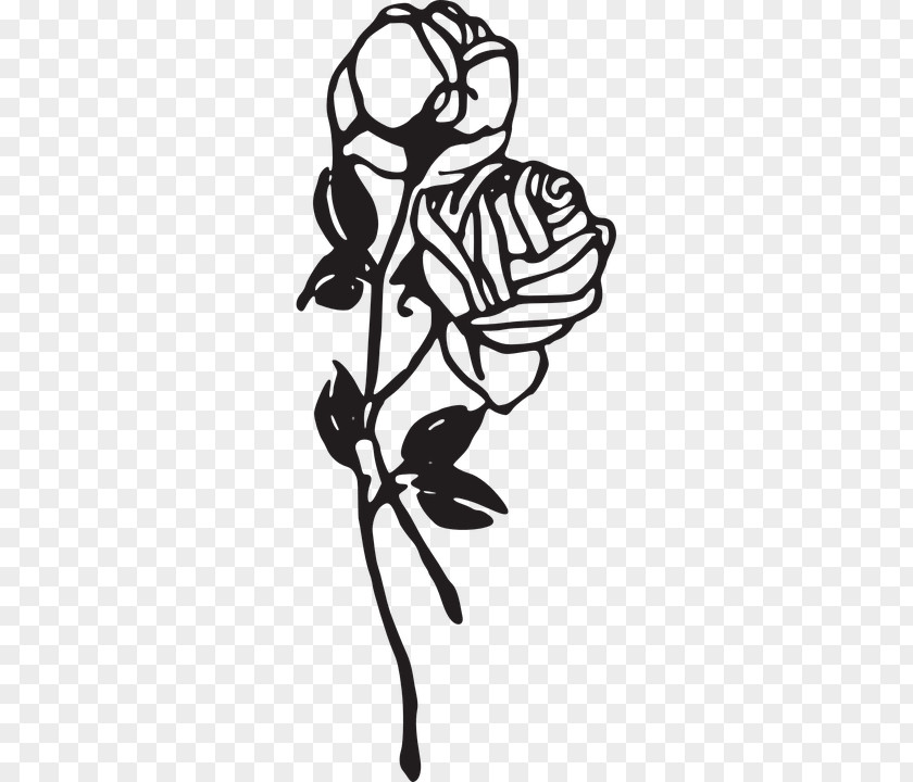 Rose Clip Art Vector Graphics Drawing Image PNG