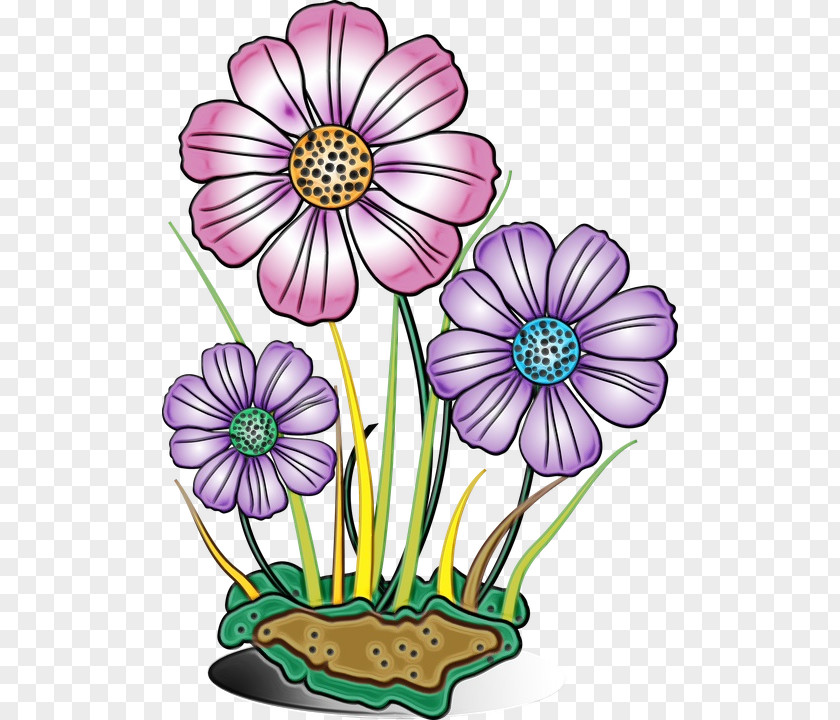 Daisy Family African Flowers Background PNG