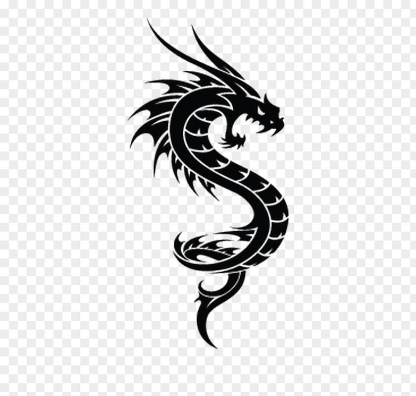 Dragon Vector Graphics Chinese Illustration Image PNG
