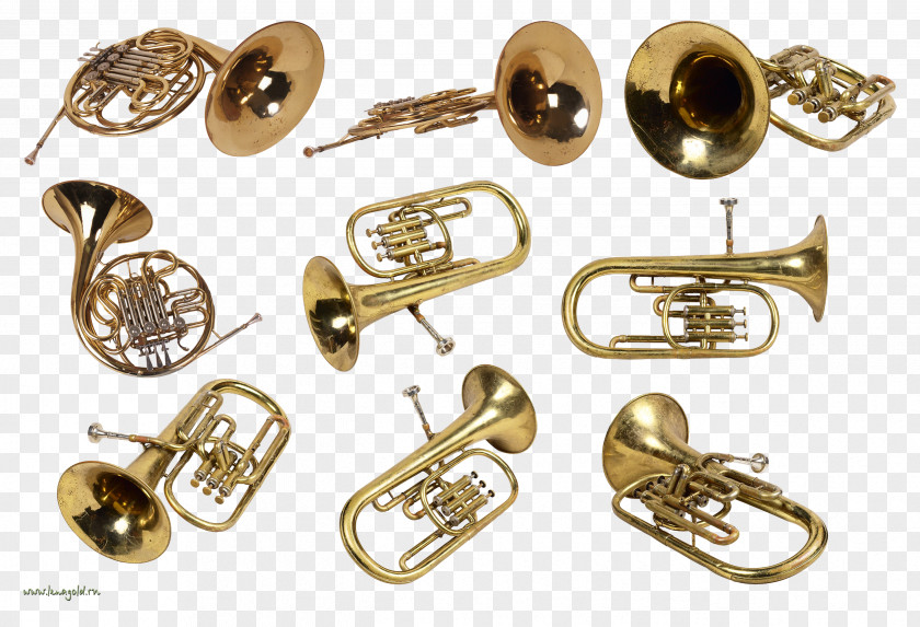 Flute Wind Instrument Musical Instruments Trumpet PNG
